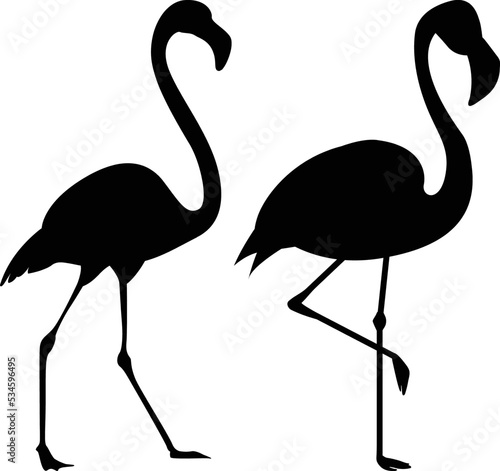 Flamingo silhouette, vector . Flamingo silhouette set in black