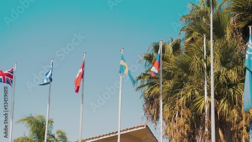 Flags of different countries on the background of palm trees