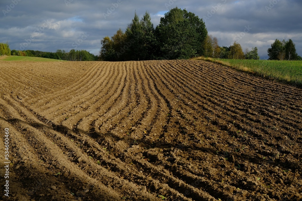Plowed fields in the autumn sun. Kashubia, Poland