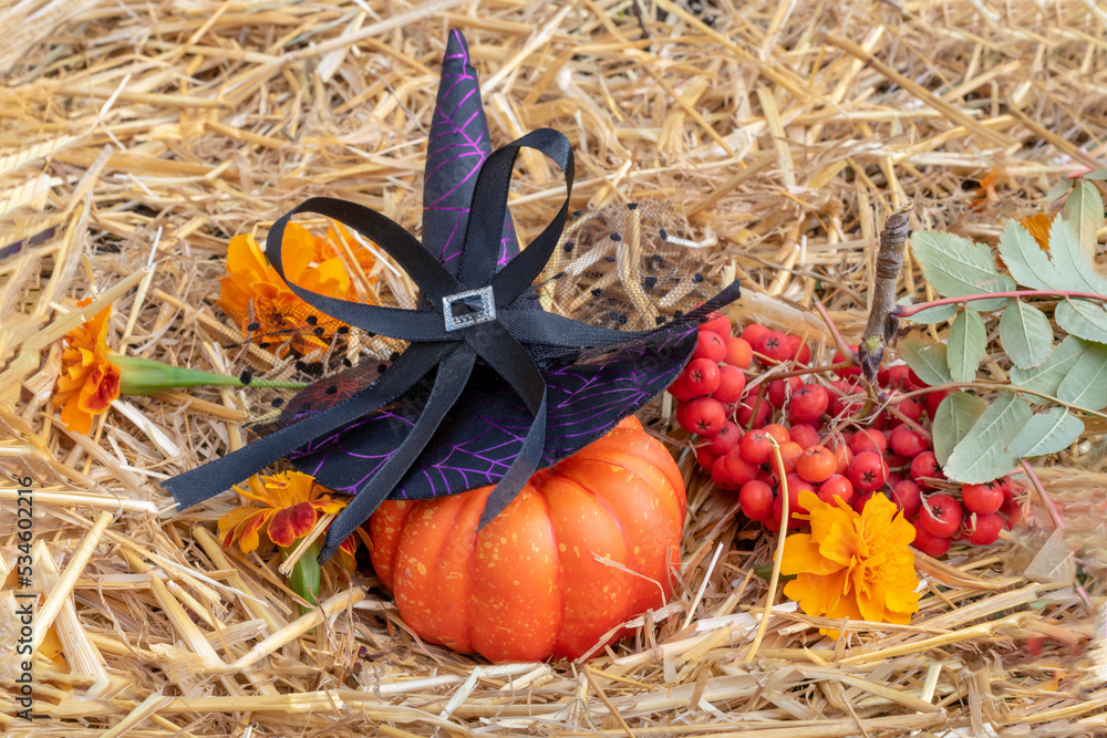 Pumpkin wearing a Witch's hat for the holiday of Halloween. Composition on straw with rowan berries and marigold flowers Pumpkin wearing a Witch's hat for the holiday of Halloween. Composition on straw with rowan berries and marigold flowers