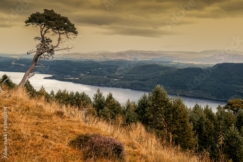Viewpoint on the Great Glen Way near to Invermoritson in the Scottish Highlands