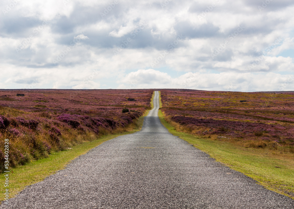 road through Lake District National Park