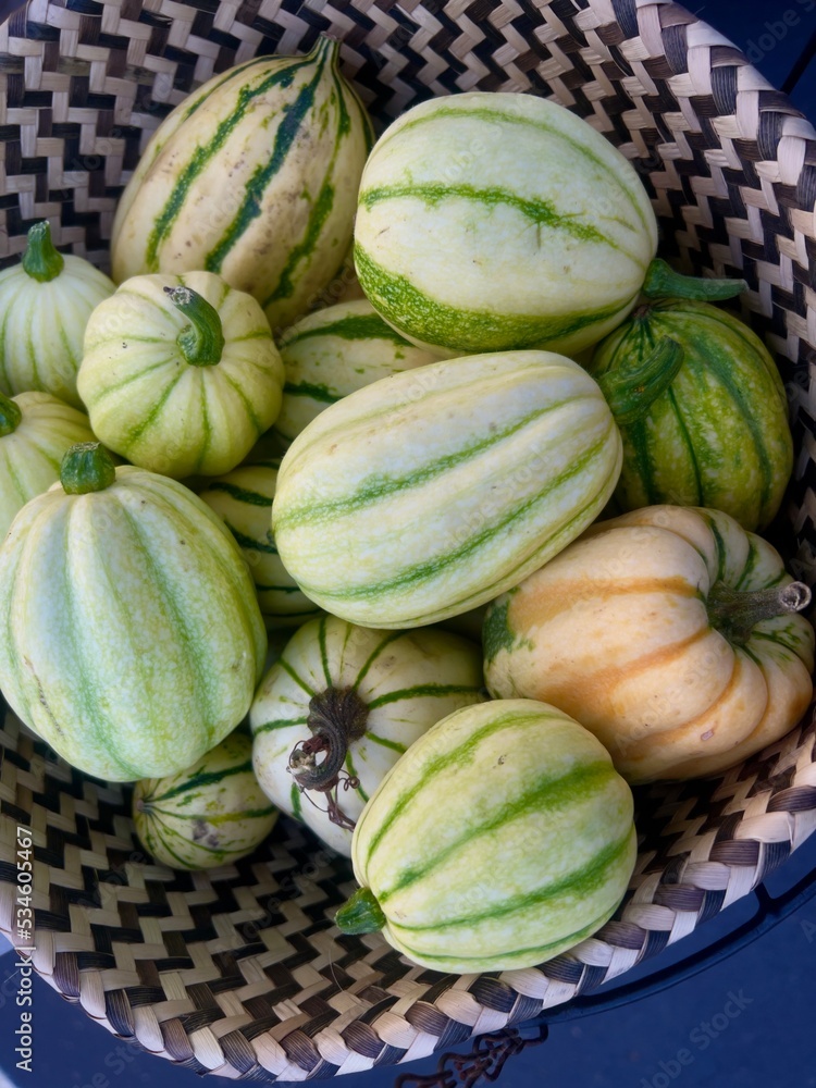 green and orange striped squash autumn vegetables in basket