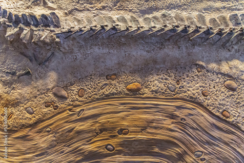 fossils and stones textured background