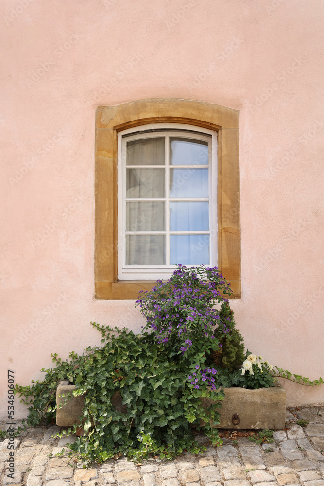 Window on pink wall with green plants and stone pavement