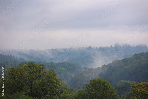 Misty morning foggy forest mountains and trees with fog