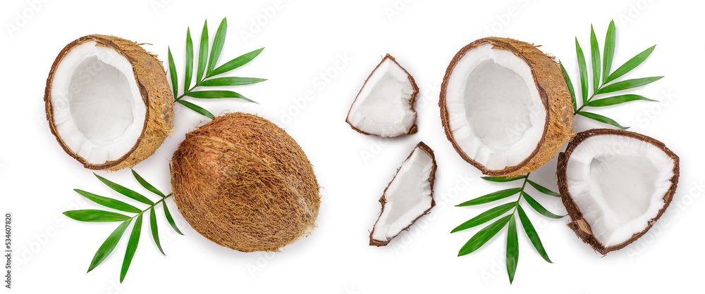 coconut with leaves isolated on white background. Top view. Flat lay coconut with leaves isolated on white background. Top view. Flat lay