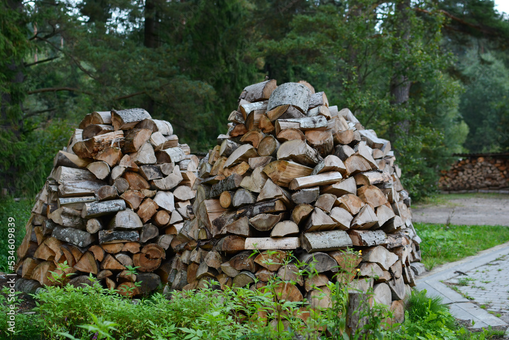 Firewood stacked in a pile Firewood stacked in a pile