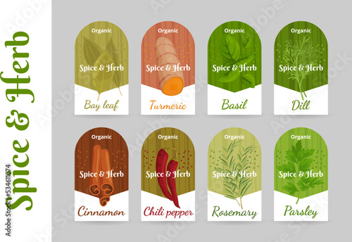 Spice and herb organic flavoring paper tag with names for gourmet food cooking set vector