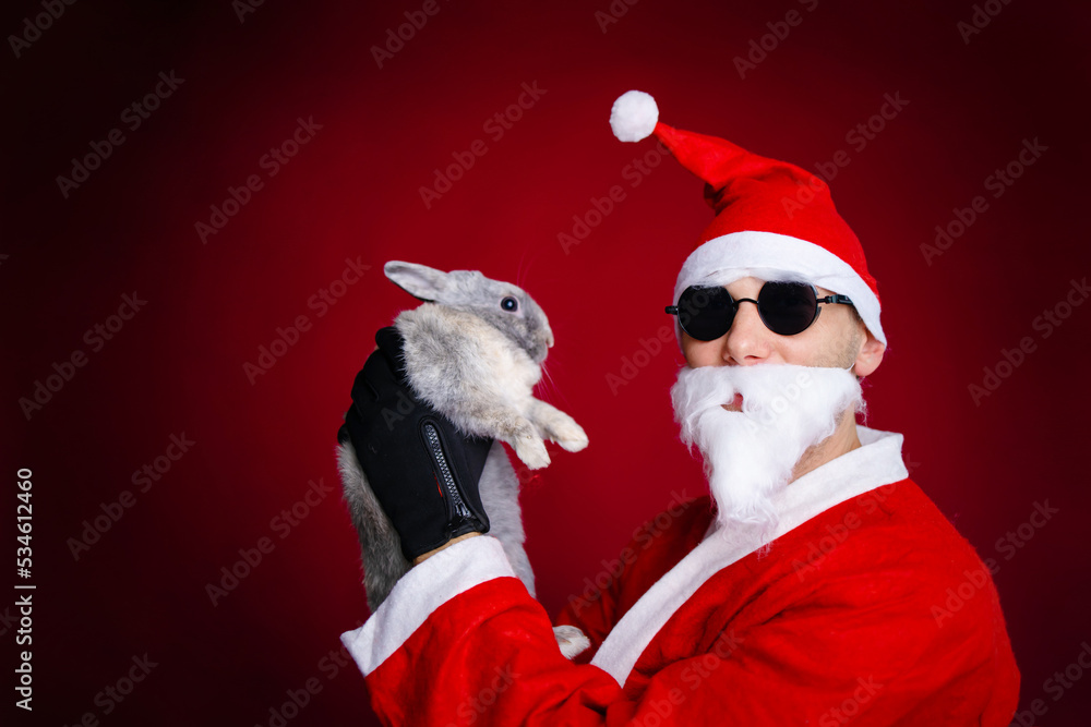 Cool man in Santa Claus costume holding little rabbit. Merry Christmas and happy New Year.