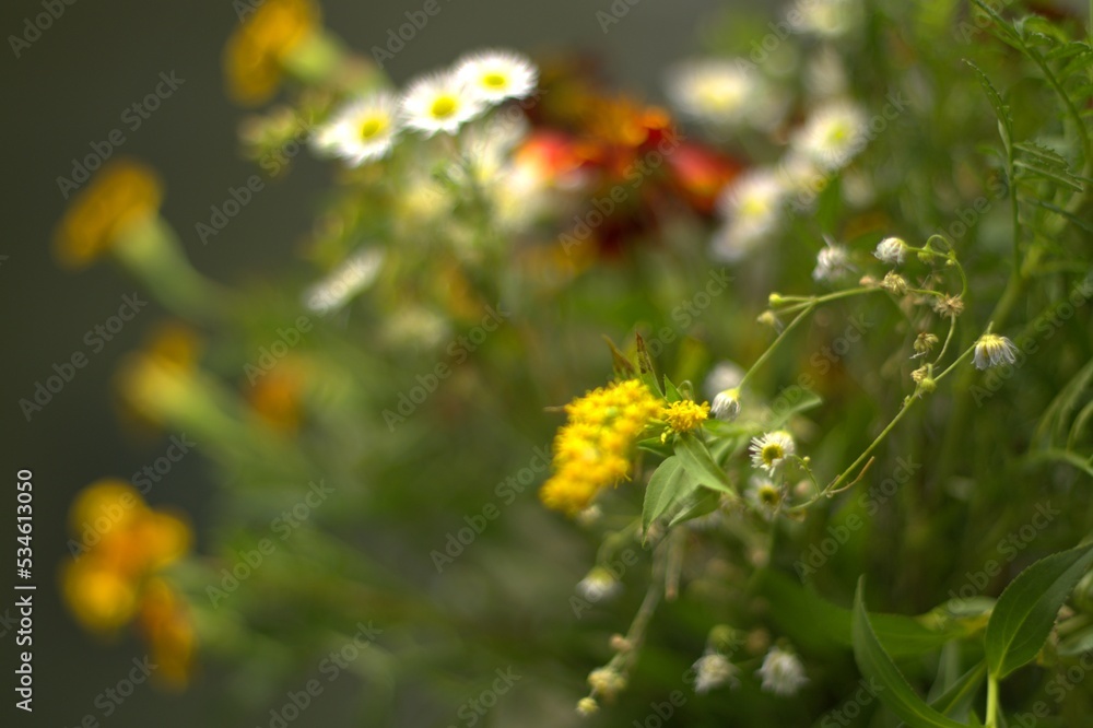 Abstraction,Bouquet of autumn flowers, blurred focus, banner, background, screensaver Abstraction,Bouquet of autumn flowers, blurred focus, banner, background, screensaver