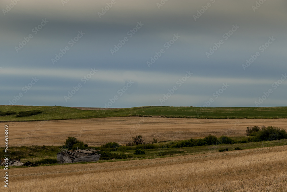 Fototapeta premium Farm lands and bad lands Kneehill County Alberta Canada