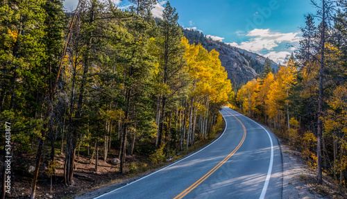 Road in Autumn going through the Aspen Trees in the Mountains