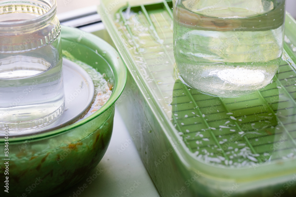Foto de Pickling sauerkraut in plastic containers on the windowsill