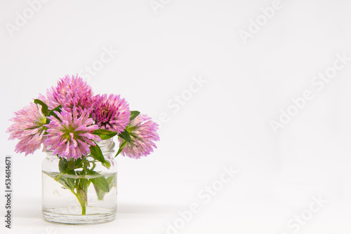 Wallpaper Mural Trifolium pratense commonly red clover bouquet in small glass. Little posy of purple meadow herb with copy space for text. White background. Torontodigital.ca