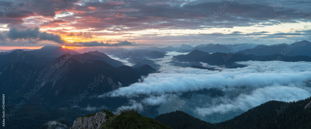 Fototapeta premium OLYMPUS DIGITAL CAMERA