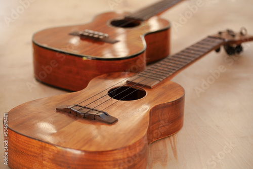 Ukulele photo by Merissa Revestir. All Rights Reserved. photo