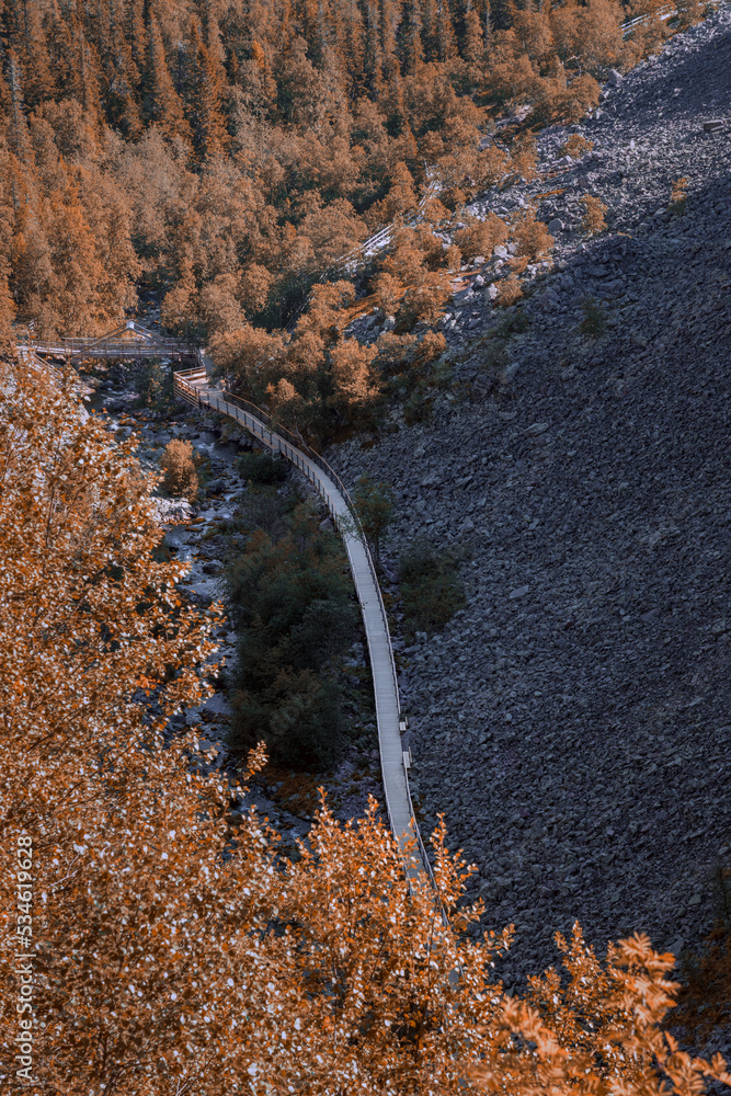 Hiking trail leading to Swedens highest waterfall, Njupeskär in Fulufjallet, Dalarna, Sweden. Popular tourist destination for hiking. Selective focus.