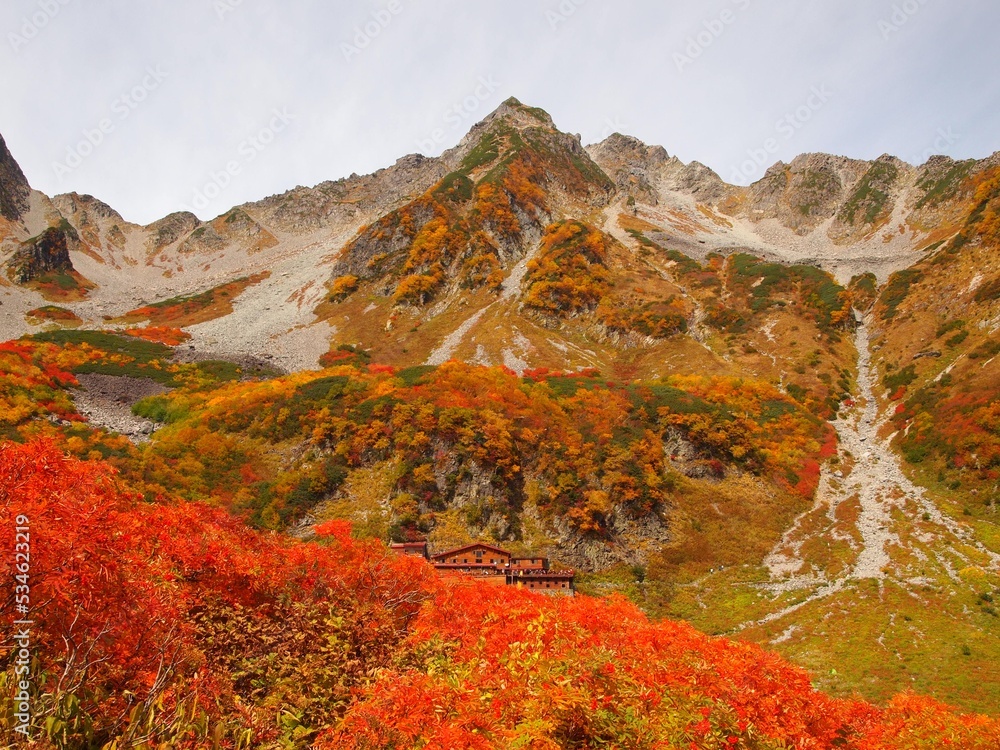 mountain of autumn dreams