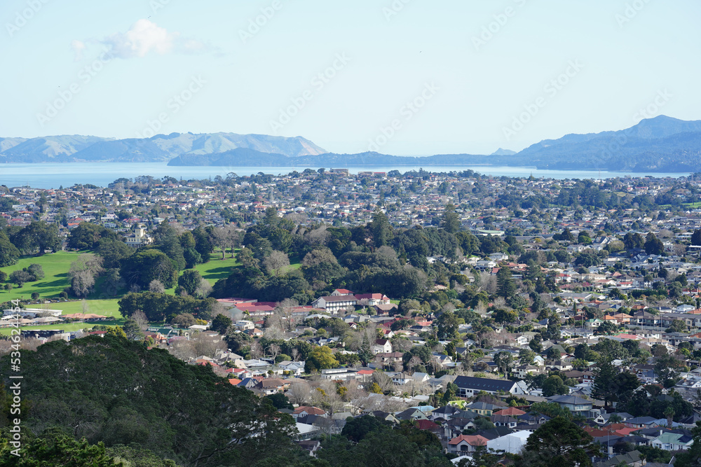 Overlooking the Auckland suburb of Mt Roskill