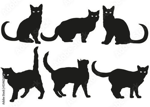 Fototapeta Naklejka Na Ścianę i Meble -  Halloween Set Stickers Cats