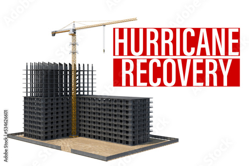 Slika na platnu Hurricane Recovery