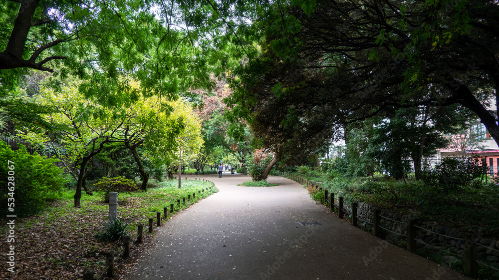 公園の散歩道