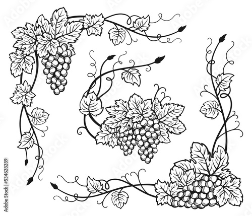 Grape vine corner bunches sketch set. Hand drawn vintage wine grapes border, berry ink frame. Decorative elements antique engraving design. Sketches for wine packing, menu, invitation card, poster