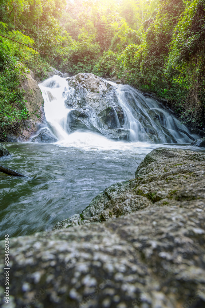 Fototapeta premium Nature stream waterfall in forest.Autumn forest river waterfall landscape.