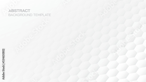Mosaic beehive shape wall white tone background with blank space.