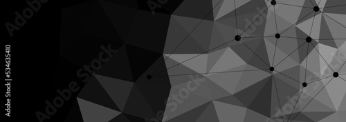 Website header or banner design with abstract polygonal background and connecting dots and lines. Global network connection. Digital technology with plexus background and space for your text