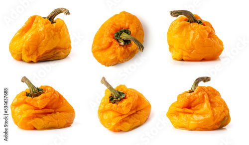set of dehydrated and rotten bell peppers in different angles, bad or spoiled and non-consumable fruits isolated on white background, collection