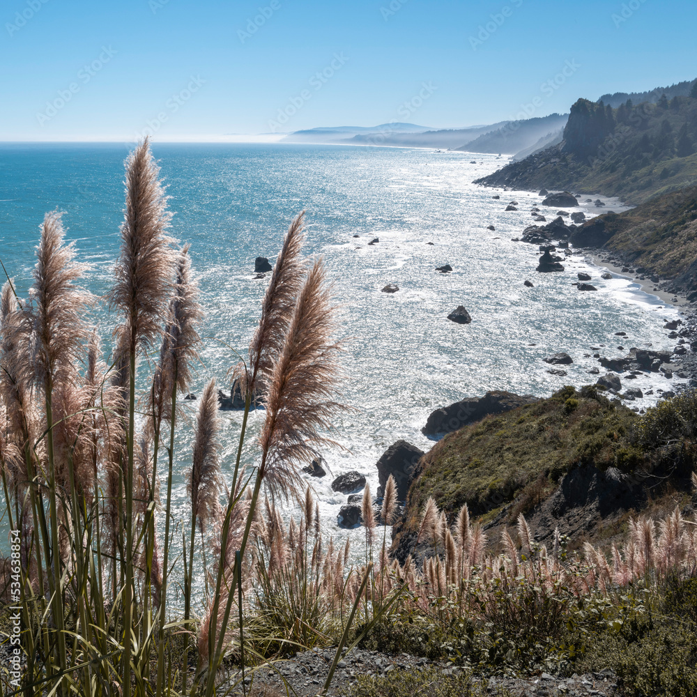 High Bluff Overlook Seascape over the rocky cliff with Cortaderia