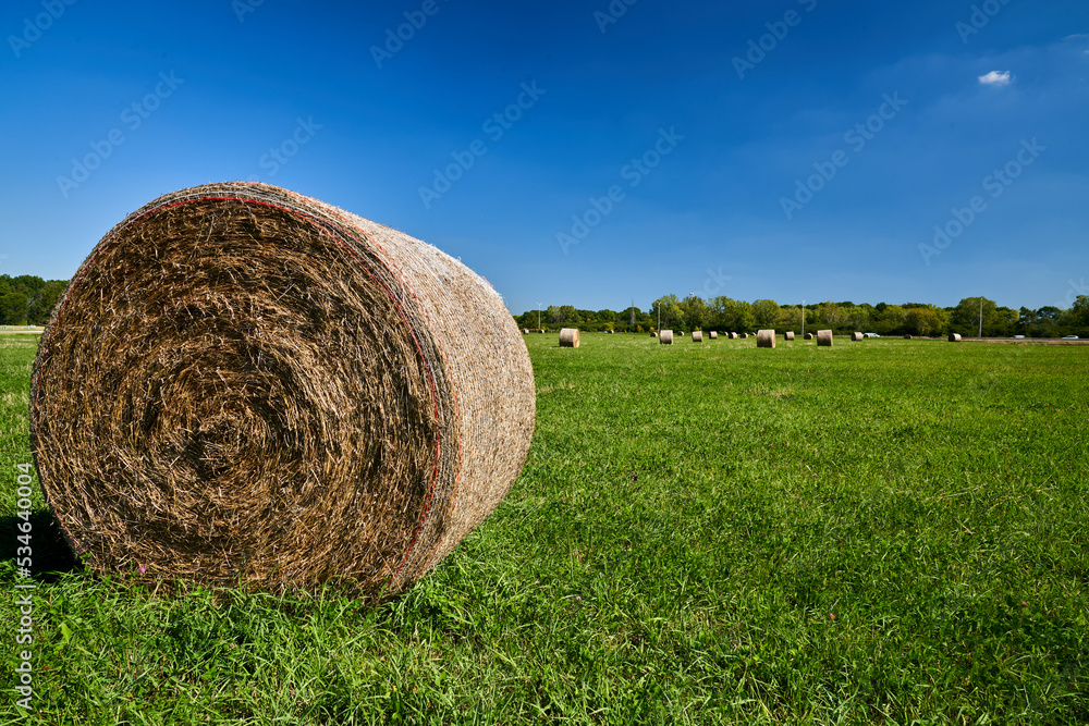 Hay Bales in Grass Field with Blue Skies Hay Bales in Grass Field with Blue Skies