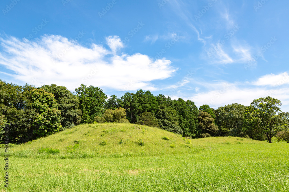 Obraz premium 西都原古墳群周辺の公園 