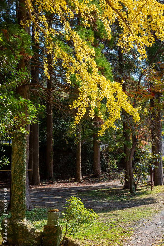 冠嶽神社と周辺の紅葉	