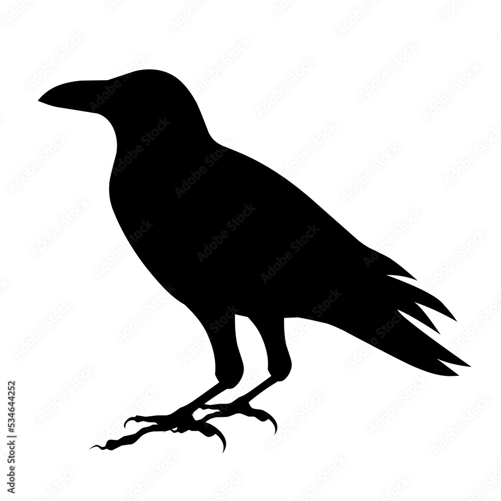 Fototapeta premium Crow silhouette vector. In Halloween theme. Great for Halloween design purposes. Isolated on a white background
