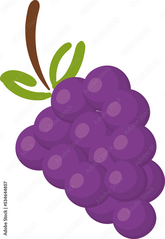 grape fruit illustration cartoon grape fruit illustration cartoon