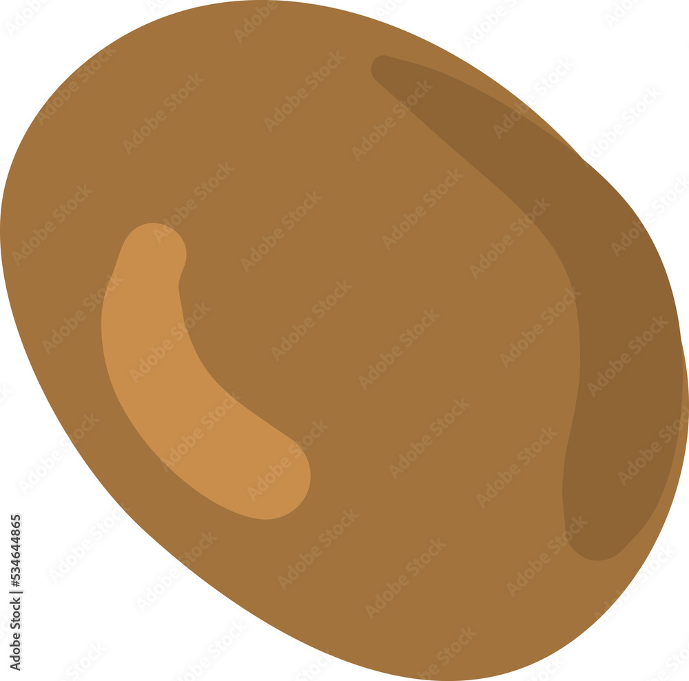 kiwi fruit illustration cartoon kiwi fruit illustration cartoon