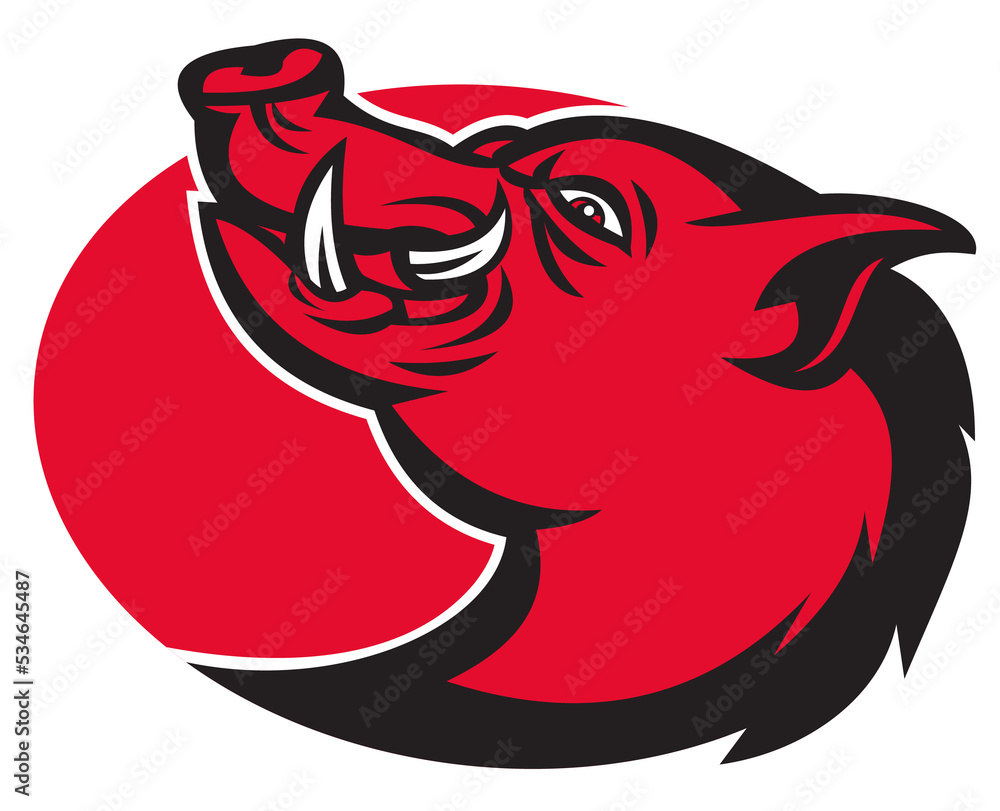 custom made wallpaper toronto digitalangry razorback wild pig hog boar head