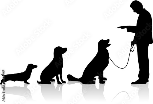 a man training dogs, vector file