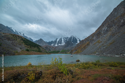 Motley autumn shrubs with view to alpine lake and snow mountain range in overcast. Mountain lake against large snowy mountains under gray cloudy sky. Fading autumn colors in high mountains during rain