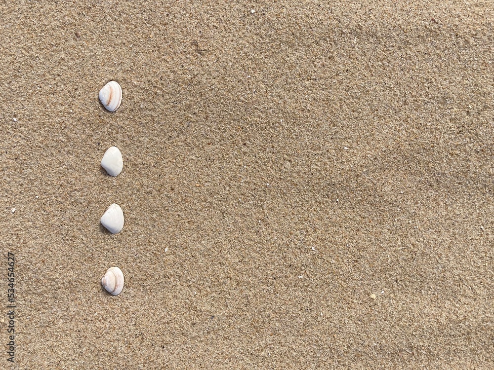 Seashells arranged as bullet points in sand on beach Seashells arranged as bullet points in sand on beach