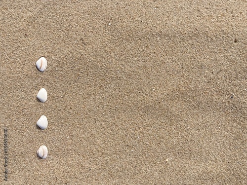 Seashells arranged as bullet points in sand on beach