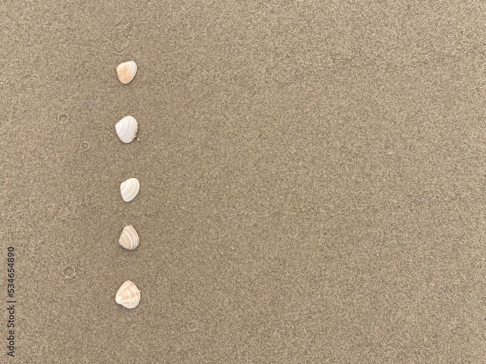 Seashells arranged as bullet points in sand on beach Seashells arranged as bullet points in sand on beach