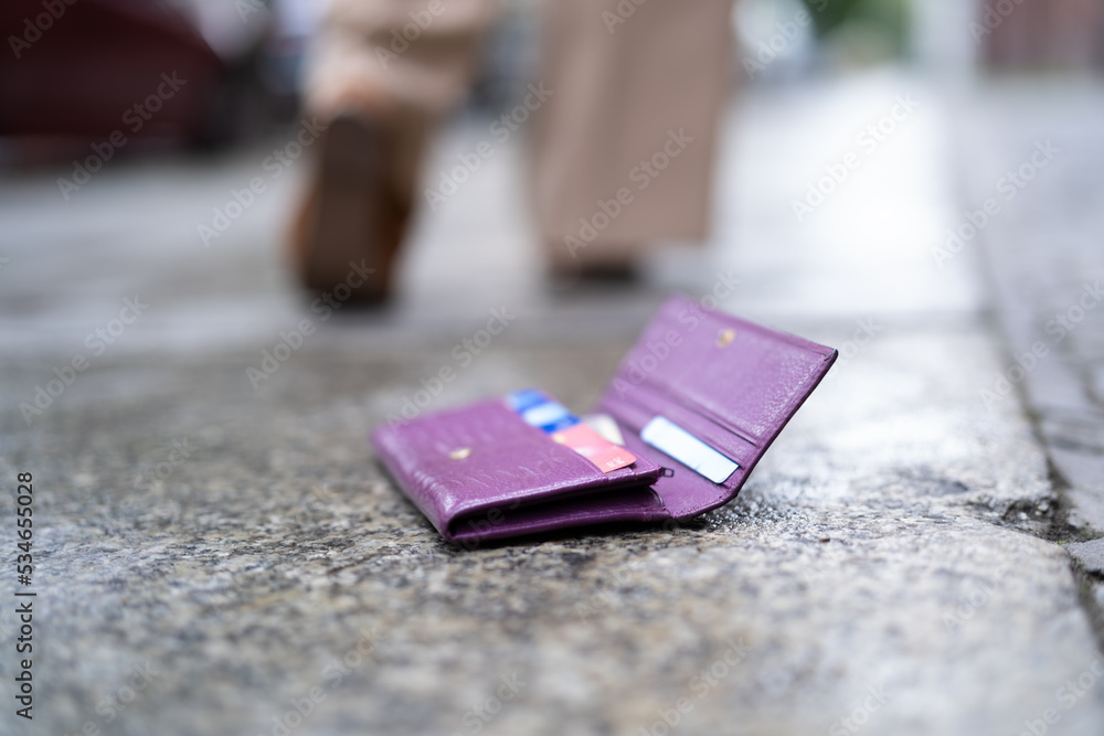 Woman Lost Personal Wallet With Money Woman Lost Personal Wallet With Money