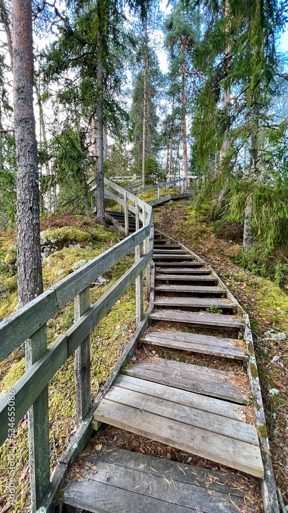 wooden bridge in the woods