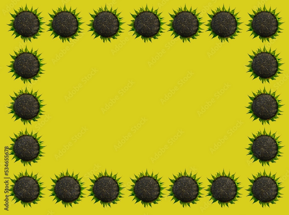 Fototapeta premium colorful frame made of sunflowers in flat design .