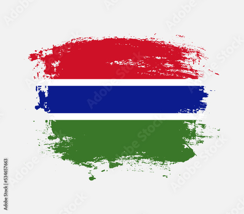 Elegant grungy brush flag with Gambia national flag vector