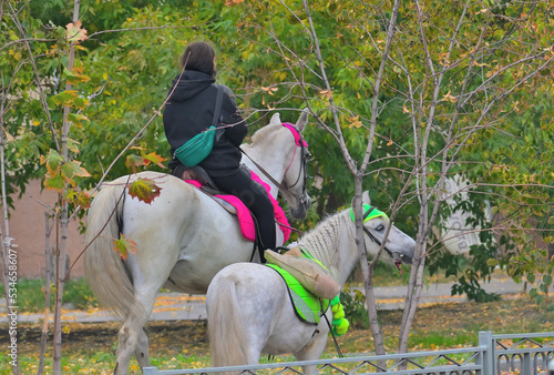 A woman rides a horse along the alley of the park on a cold autumn day